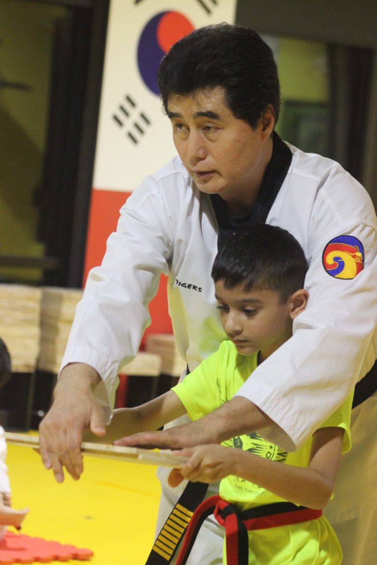 Family Martial Arts Suwanee, GA World Class Taekwondo