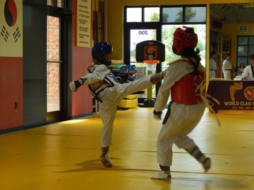 Family Martial Arts Suwanee, GA World Class Taekwondo